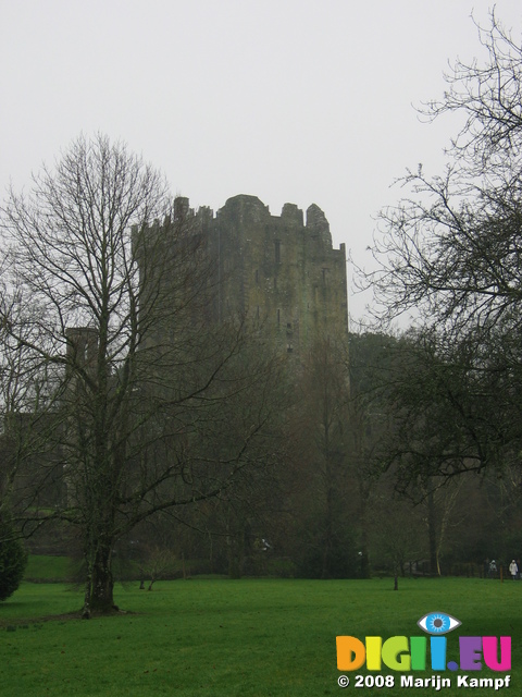 24791 Blarney Castle North Wall